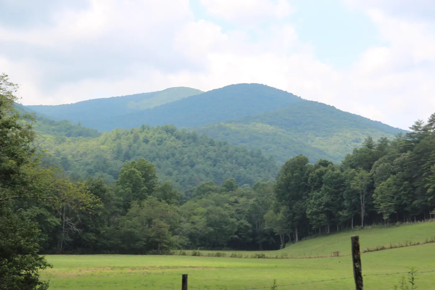 Forested mountain rising above a green pasture with a fence line in the foreground