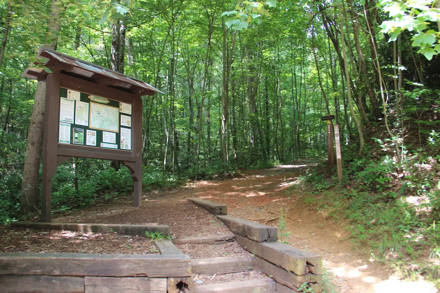 Wooden trailhead kiosk and timber steps at the edge of a leafy green forest