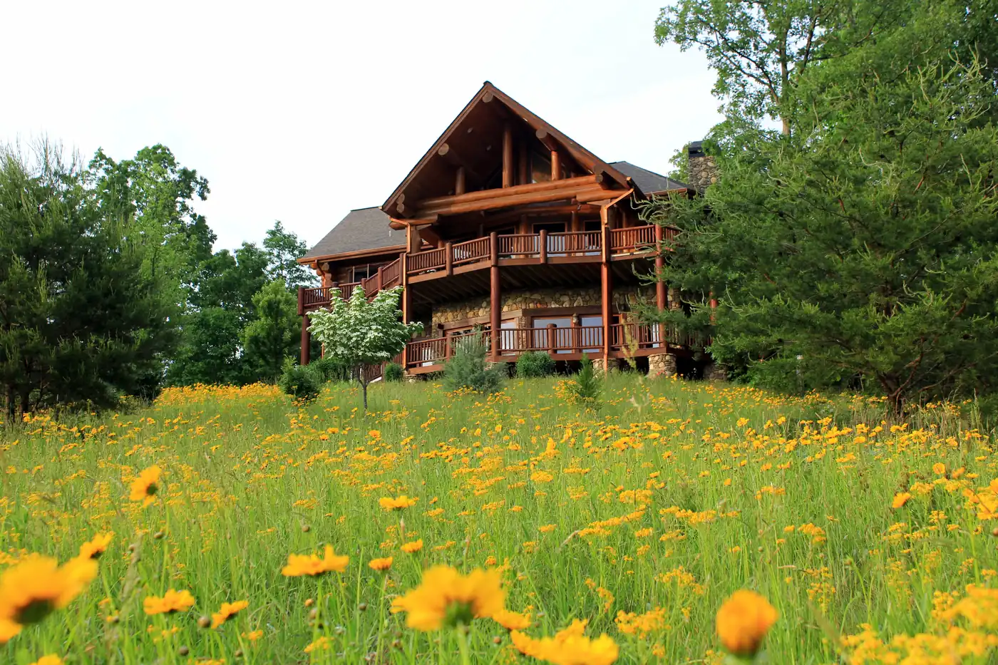 Large multi-story log home with wide decks behind a meadow of yellow wildflowers