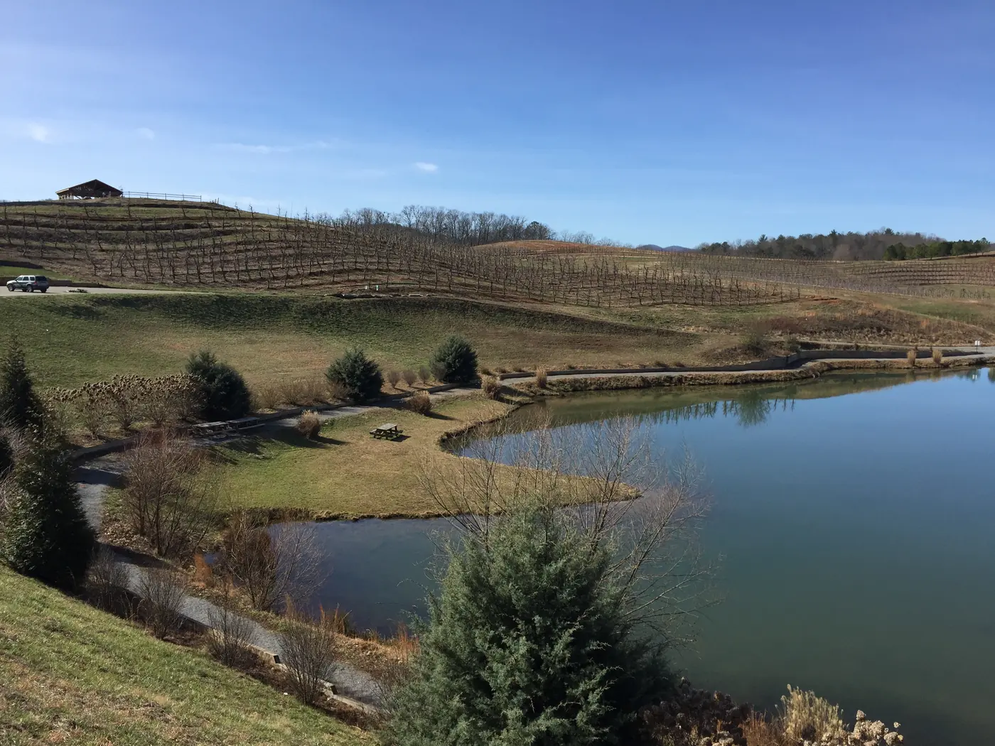 Terraced orchard rows on a hillside above a curving pond under a clear blue sky
