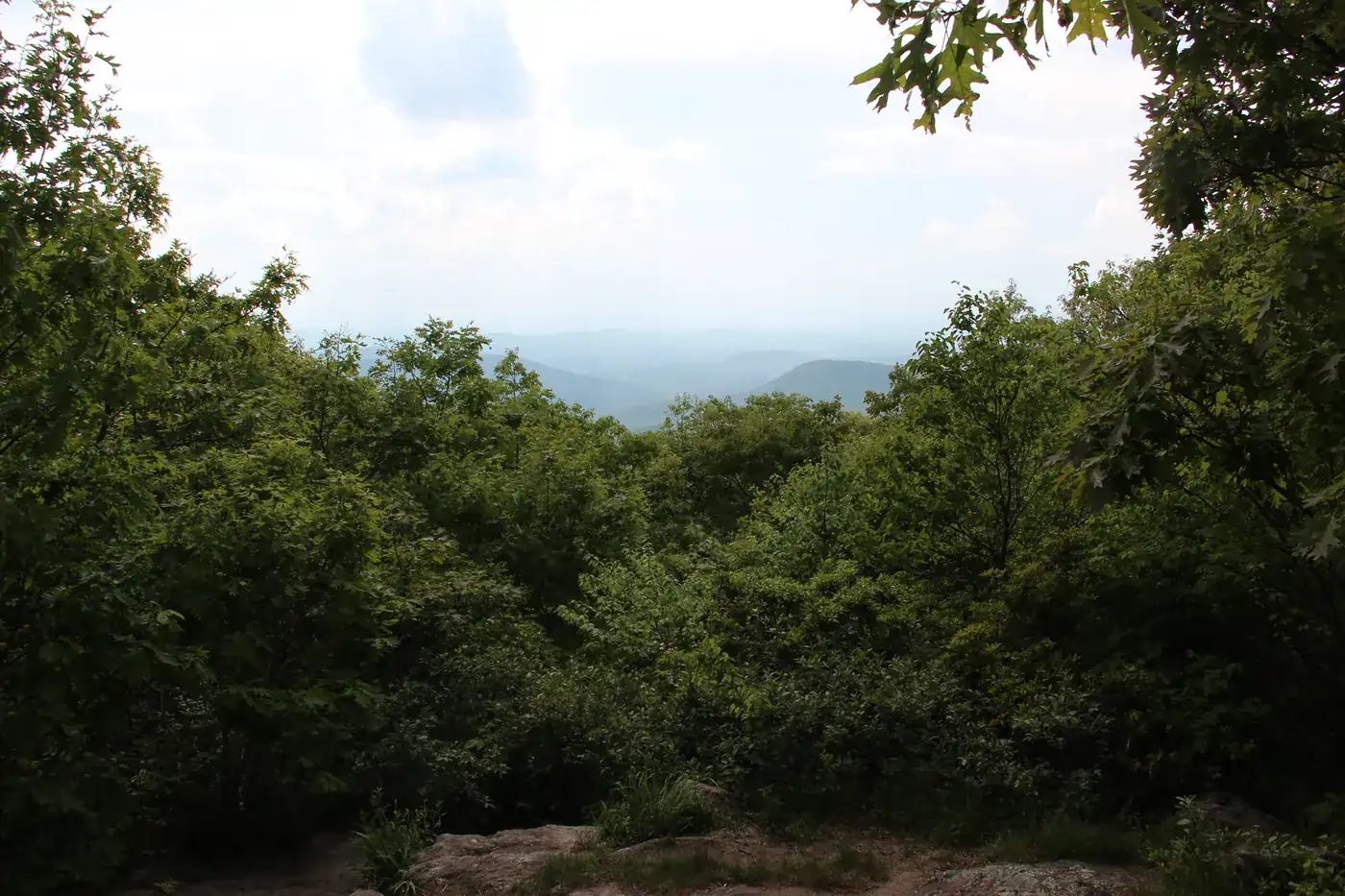 View from a wooded summit over treetops to distant hazy ridges