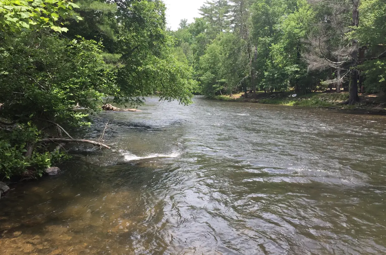 Riffling river water framed by green summer trees on both banks